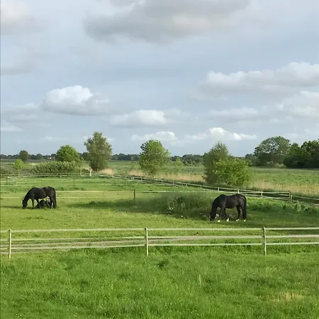 Schwalbennest דירה *