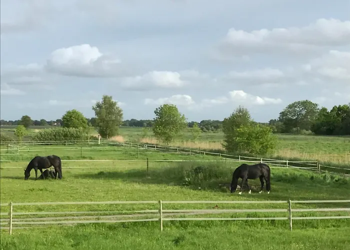 Schwalbennest Διαμέρισμα *